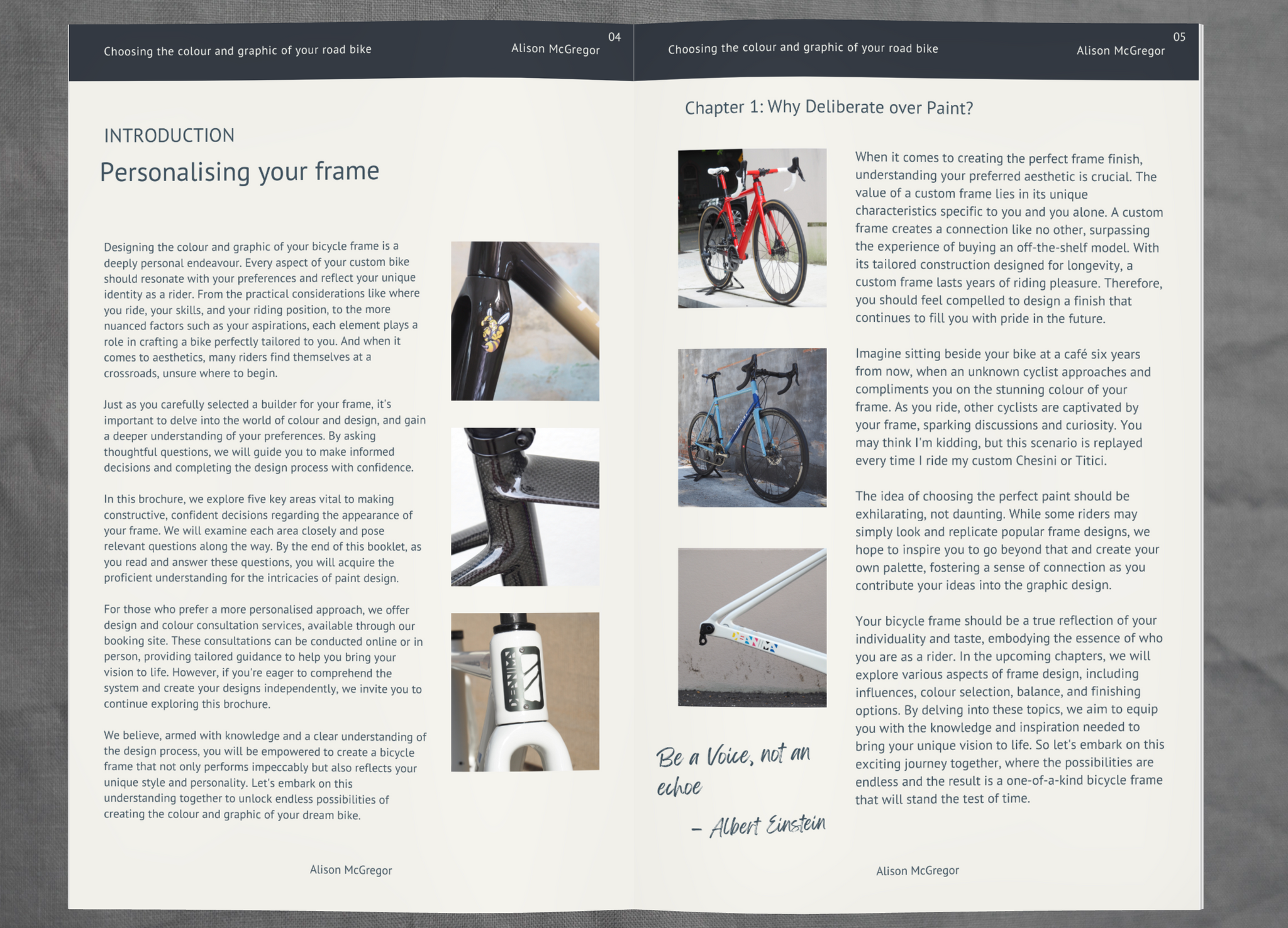 PAINT AND GRAPHIC CONSULT AND DESIGN CYCLING SYDNEY AUSTRALIA BIKE SHOP