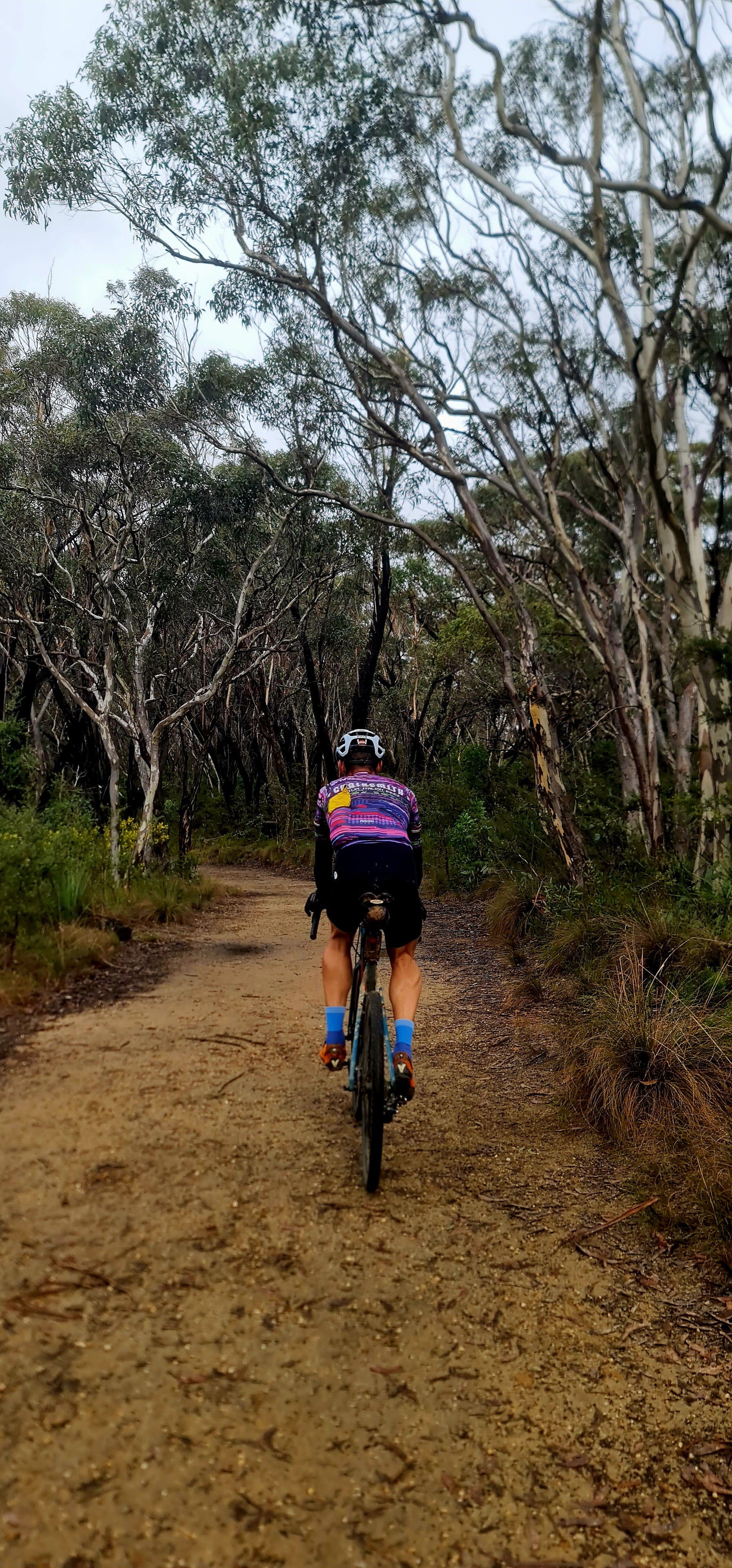 cyclist riding in blue socks australian blue mountains
