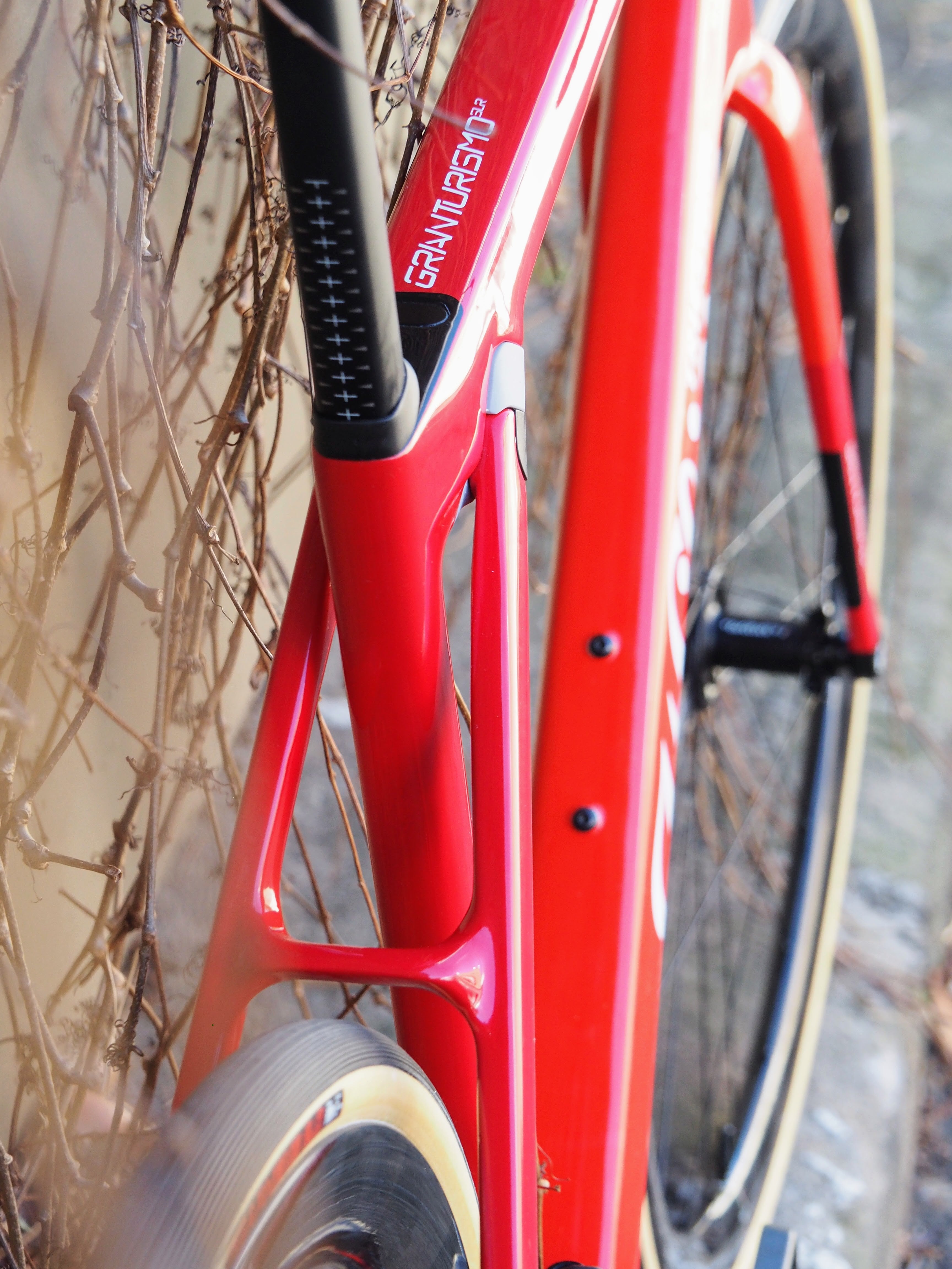 Wilier experience center 2025